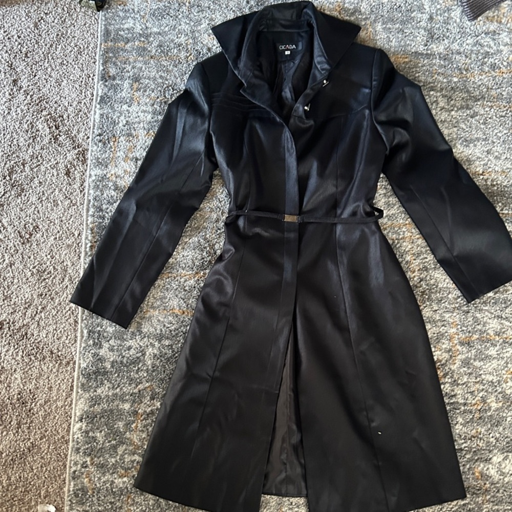 Black Trench Coat with Long Sleeves and Belt